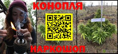 не бодяженный Сланцы