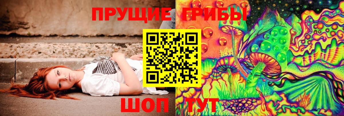 Псилоцибиновые грибы Psilocybine cubensis  закладка  Астрахань  Вход с VPN  Галлюциногенные грибы Cubensis 